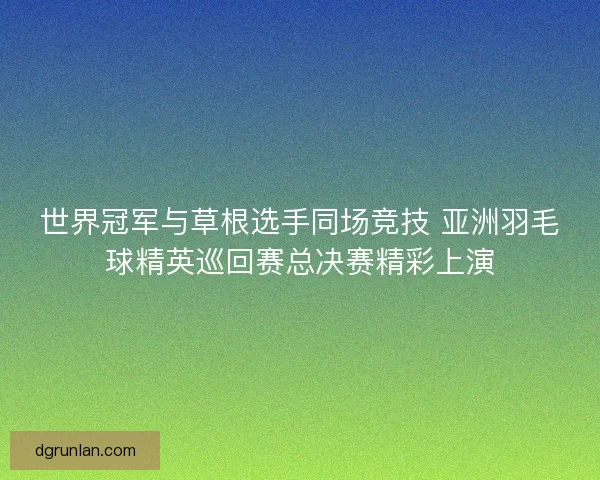 世界冠军与草根选手同场竞技 亚洲羽毛球精英巡回赛总决赛精彩上演