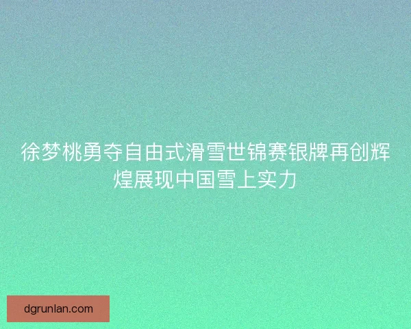 徐梦桃勇夺自由式滑雪世锦赛银牌再创辉煌展现中国雪上实力